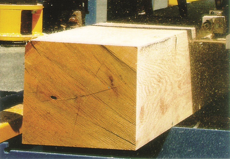 Serra_de_fita_woodmaster_in_use_alta (15).jpg