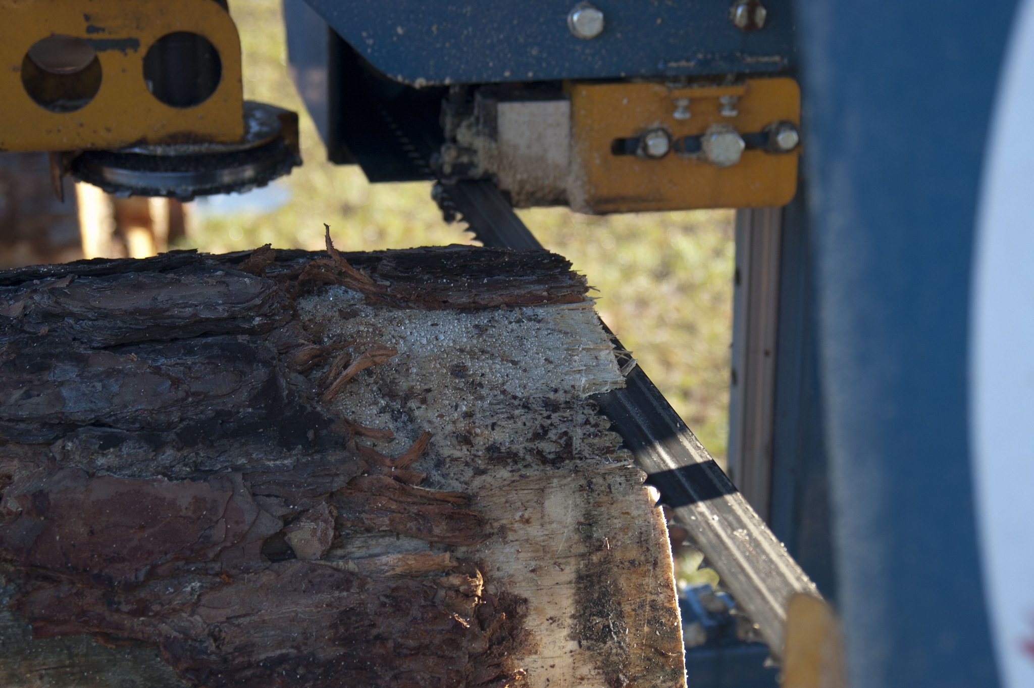 Serra_de_fita_woodmaster_in_use_alta (8).jpg