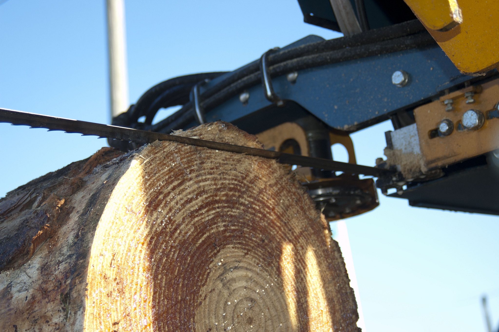 Serra_de_fita_woodmaster_in_use_alta (10).jpg