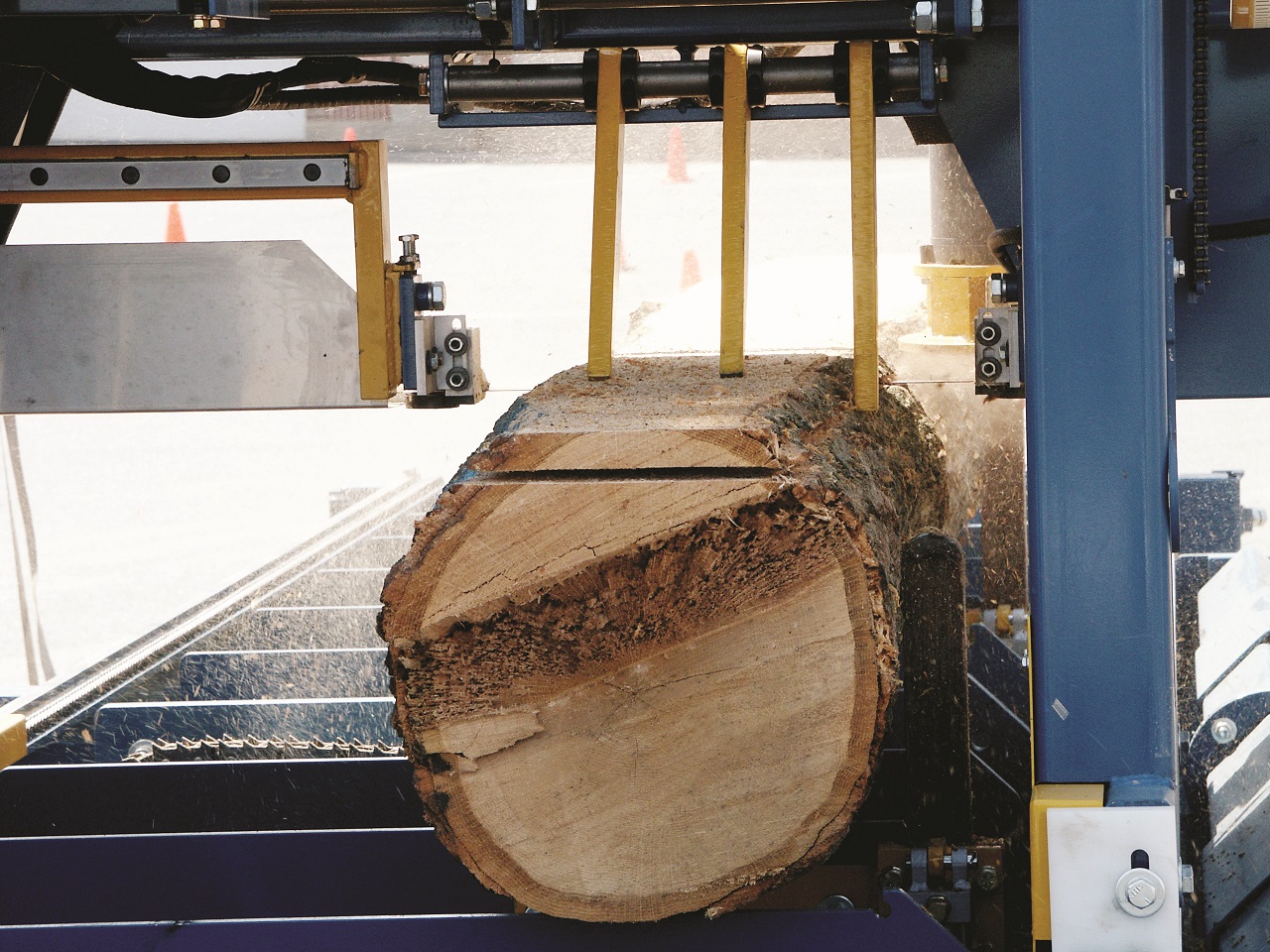 Serra_de_fita_woodmaster_in_use_alta (11).jpg