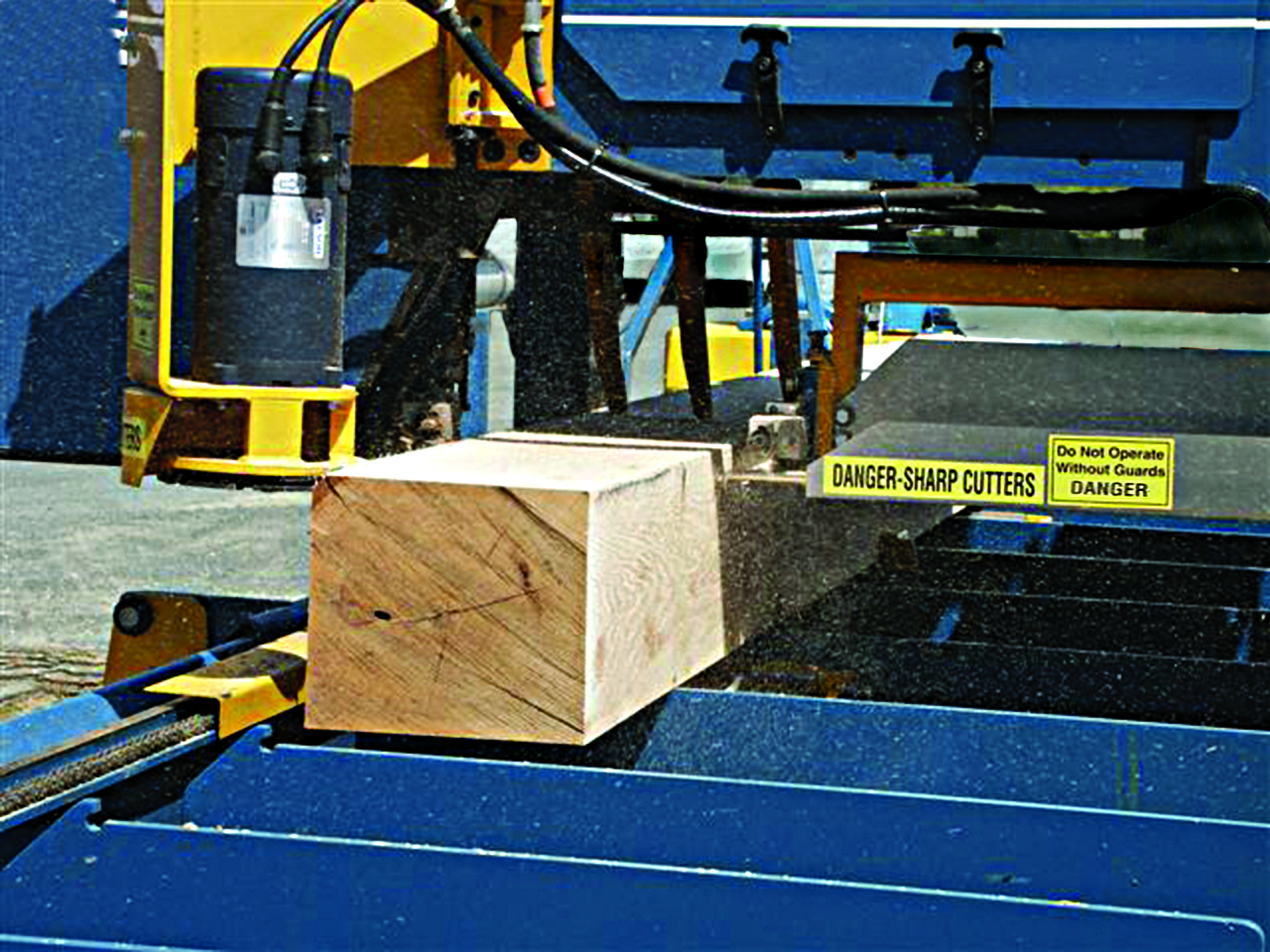 Serra_de_fita_woodmaster_in_use_alta (12).jpg